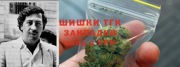 гидра Рославль