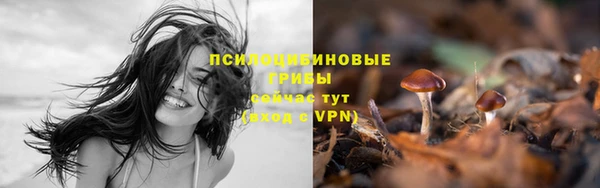 jwh Алзамай