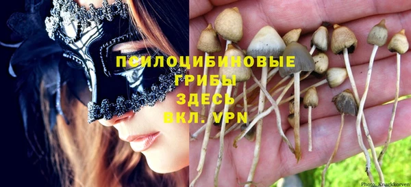 jwh Алзамай