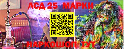 ГАЛЛЮЦИНОГЕННЫЕ ГРИБЫ Вязники